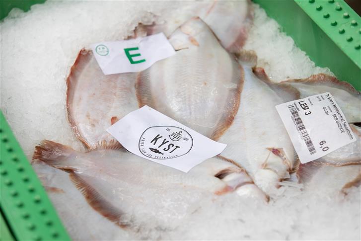 Det Danske Madhus satser på lokalt samarbejde om fisk